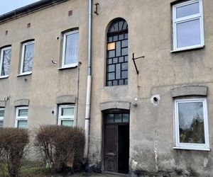 Kamilek z Częstochowy