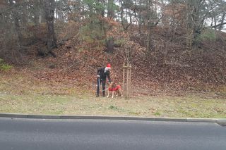 Mikołajki w bydgoskim schronisku dla zwierząt. Kiedy ludzie dają miłość psom, dzieje się magia