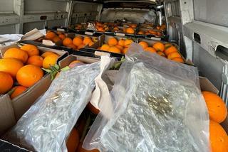 Marihuana w pomarańczach na obwodnicy Leszna