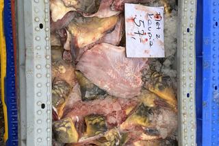 Ceny karpia w Zielonej Górze 2022