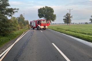 Koszmarny wypadek na DW 310 w Wielkopolsce. Mężczyzna spłonął w aucie