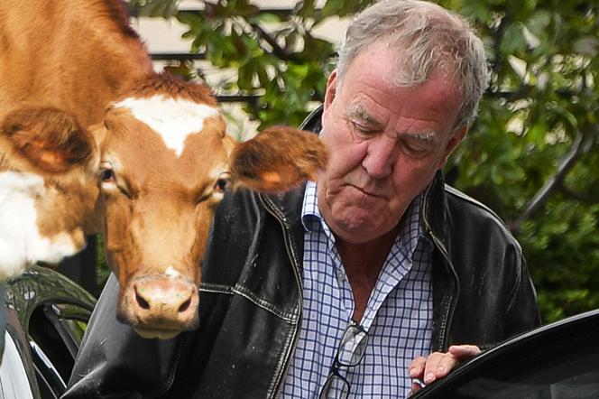 Jeremy Clarkson i krowa