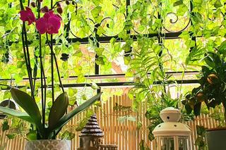 Jak odgrodzić się od sąsiada?