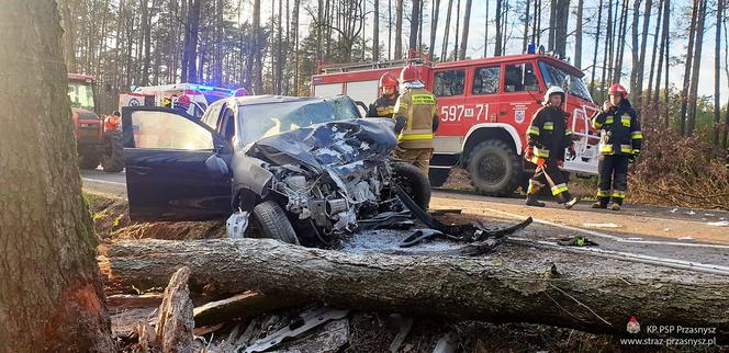 Przasnysz. Auto z kobietą i dzieckiem uderzyło w drzewo! Później spadł na nie pień! [ZDJĘCIA]