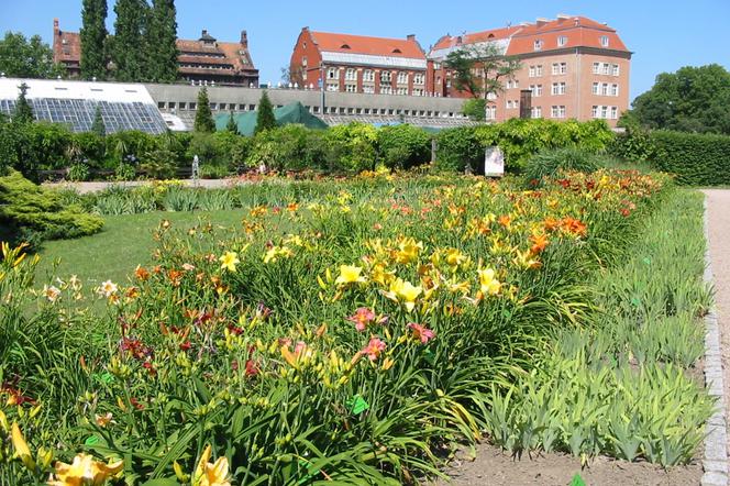 Ogród Botaniczny Uniwersytetu Wrocławskiego 