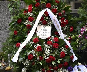 Grób prof. Adama Strzembosza