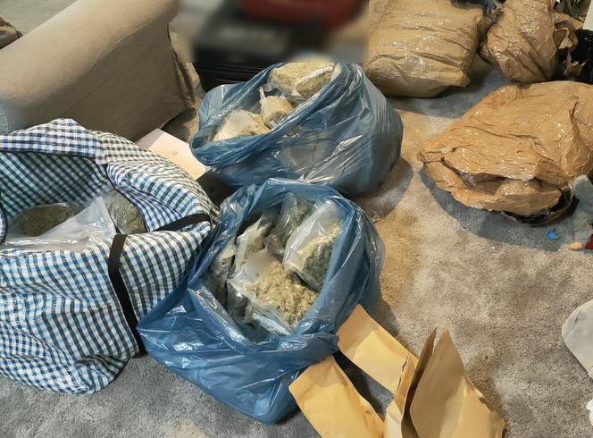 Maryśka jak złoto! Zgłosił kradzież złota po dziadku, okazało się, że ukradli mu 10 kg zioła!