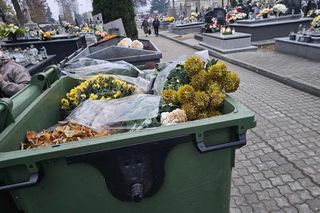 Kwiaty, które jako pierwsze trzeba wyrzucić z cmentarzy.