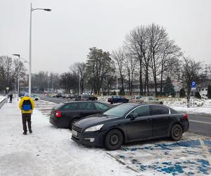 Parkowanie w Katowicach: Studenci UE nie zawalają już parkingów