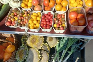 Jesień wkracza na targowiska w Rzeszowie. Kupisz już grzyby, dynie, orzechy i inne przysmaki!