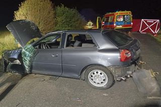 Śmiertelny wypadek pod Bełchatowem. 36-letek zderzył się z sarną [ZDJĘCIA].