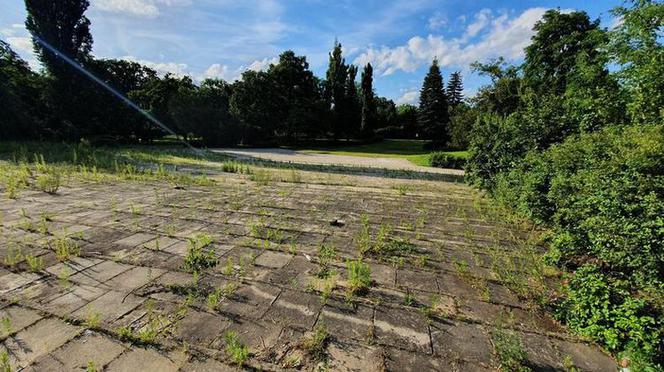 Będą porządki w parku Witosa w Bydgoszczy