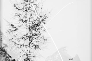 Zakupy przedświąteczne - 1958 r.