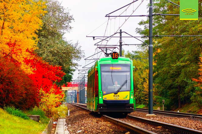 Tramwaj Poznań