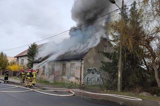 Gorzów: Paliło się przy stacji benzynowej, sytuację uratowali strażacy