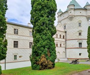 Mało kto wie o tym polskim zamku. To prawdziwa perła Podkarpacia