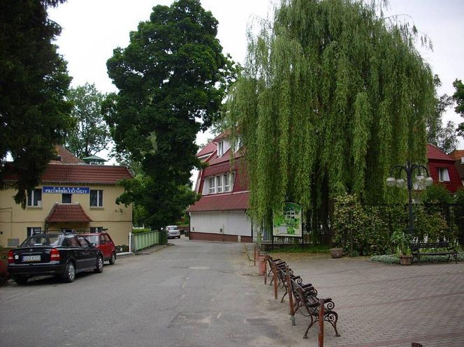  Przerzeczyn-Zdrój na Dolnym Śląsku. Fragment uzdrowiska