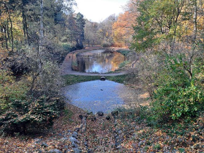Park Miejski w Toruniu