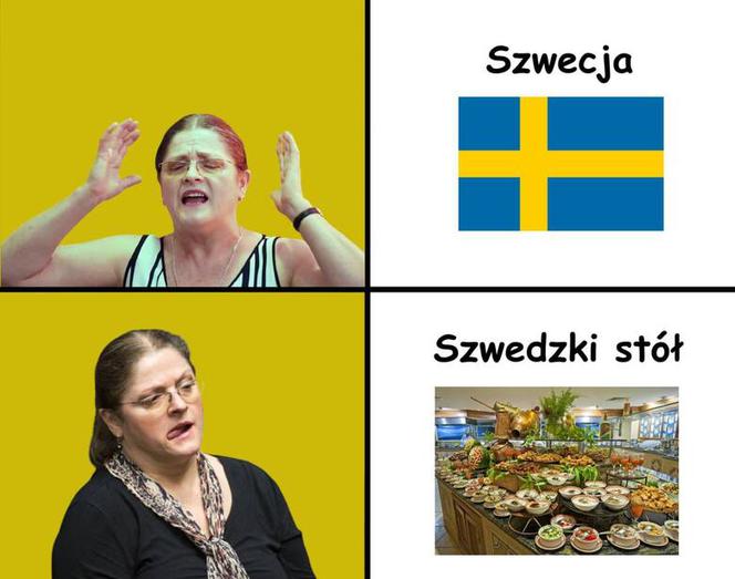 Mecz Polska - Szwecja: MEMY PO MECZU. Polska odpada z Euro 2020 [ZDJĘCIA]