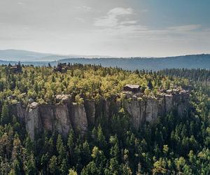 Góry Stołowe. W tych miejscach NIE można zbierać grzybów!