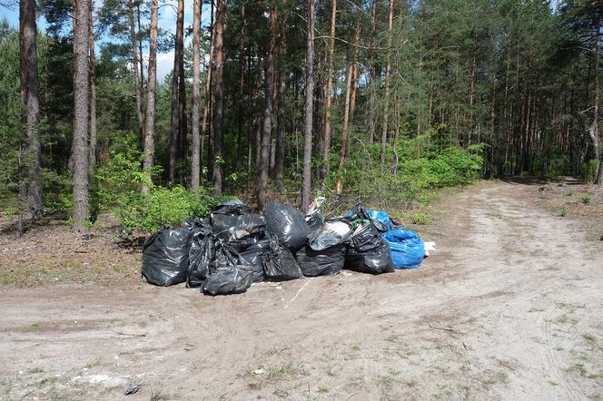 Śmieci do olsztyńskich lasów trafiły spod Legionowa! Sprawcy zostlai ukarani!
