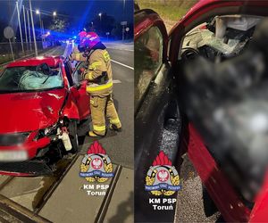 Tragedia na pasach w Toruniu. Mężczyzna nie żyje