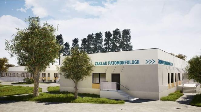 Centrum Usług Diagnostycznych