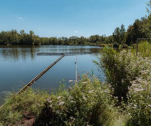 Kolejna inwestycja na stawie Balaton. Prace mają zostać wykonane do końca roku