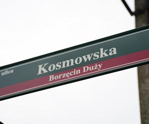 12-latek zginął w wypadku w Borzęcinie. Kierowca BMW trafił do aresztu