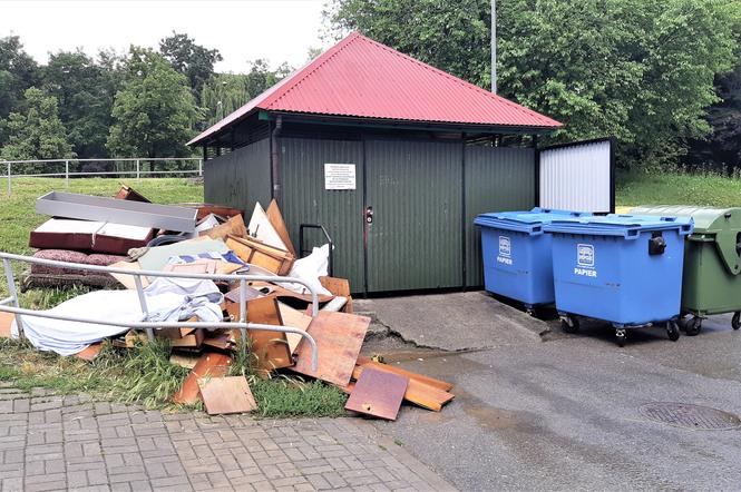 W Tarnowie testowana jest aplkacja śmieciowa