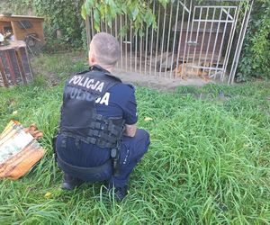Tragedia na Śląsku. Schorowany pies konał w samotności