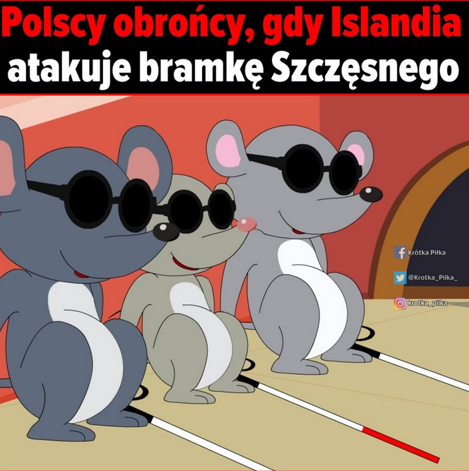 Memy po meczu Polska - Islandia