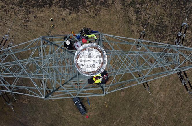 Montaż platformy lęgowej dla rybołowów w Nadleśnictwie Kliniska w okolicach miejscowości Inoujście 