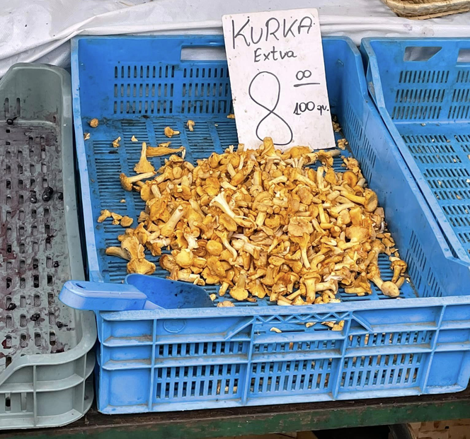 Kraków. Ceny grzybów 2022. Tyle kosztują kurki na Placu Imbramowskim