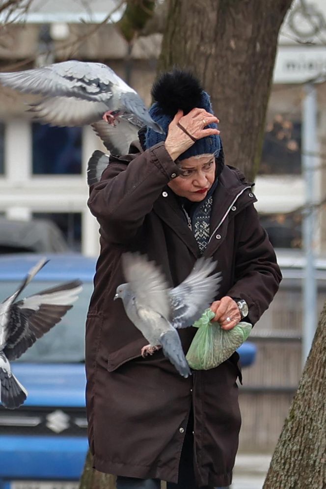 Anna Chodakowska. Gwiazda "Labiryntu" wśród ptaków