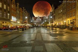 Superksiężyc rozświetli niebo nad Pomorzem! Gdzie i kiedy oglądać? [SUPERMOON 2019]