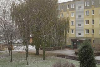 Atak zimy w Poznaniu! Spadł pierwszy śnieg. Czy to zaskoczyło drogowców?