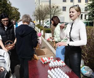 Piekary Śląskie. Świąteczne zbieranie jajek wielkanocnych