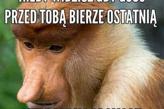 memy z nosaczem