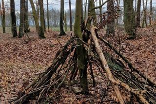 Iławianie po raz szósty połączyli siły, by oczyścić las za osiedlem Podleśnym