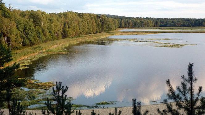 Województwo lubelskie - Roztocze Lubelskie