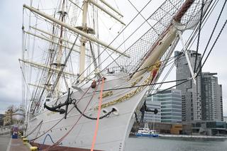 Dar Pomorza z psem, kotem i egzotycznymi zwierzętami. Otworzono wystawę na pokładzie żaglowca 