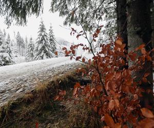 Śnieg w Tatrach