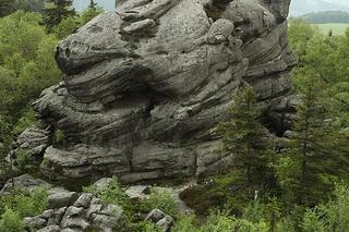 Najpiękniejsze parki narodowe w Polsce - które warto odwiedzić?