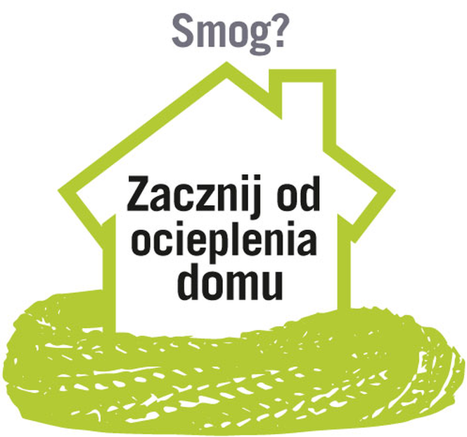 Termomodernizacja domu a smog