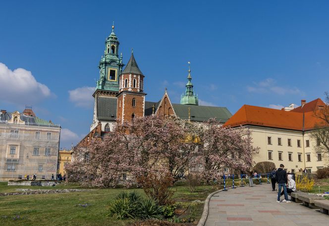 To najdroższe muzeum w Polsce. Za rodzinne zwiedzanie musimy zapłacić ponad 300 zł