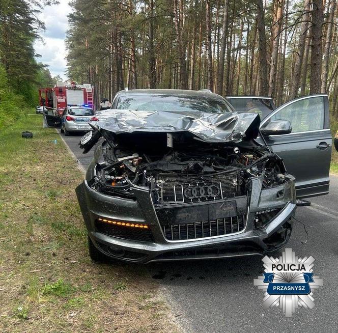 Kierowca audi potrącił łosia. Pechowe zderzenie zakończyło się śmiercią