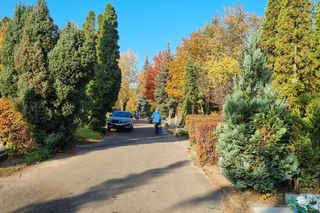 Korki i pełne parkingi. Tak wygląda sobota przed cmentarzem na Junikowie