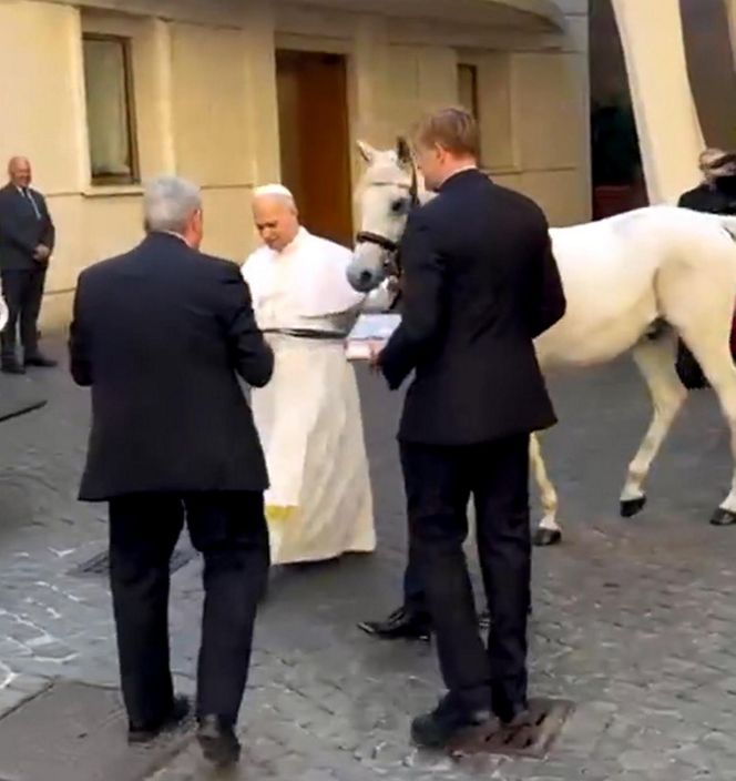 Papież Leon XIV otrzymał w środę białego konia czystej krwi arabskiej ze stadniny w Kołobrzegu-Budzistowie