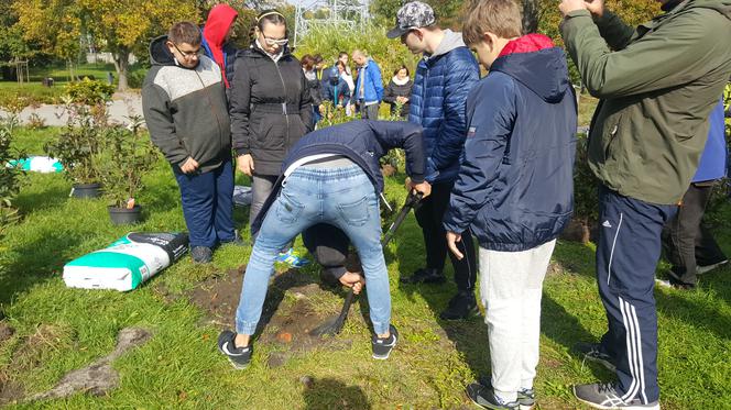 Pastwisko dla koni w Sosnowcu